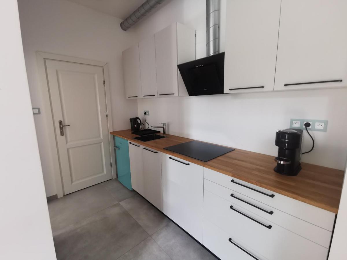 Nowe Apartamenty Zamkowa Vis A Vis Wawelu クラクフ エクステリア 写真
